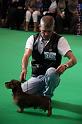 Crufts2011_2 700